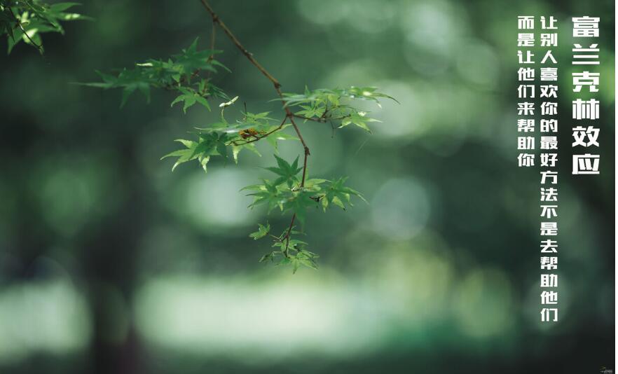 『富兰克林效应』